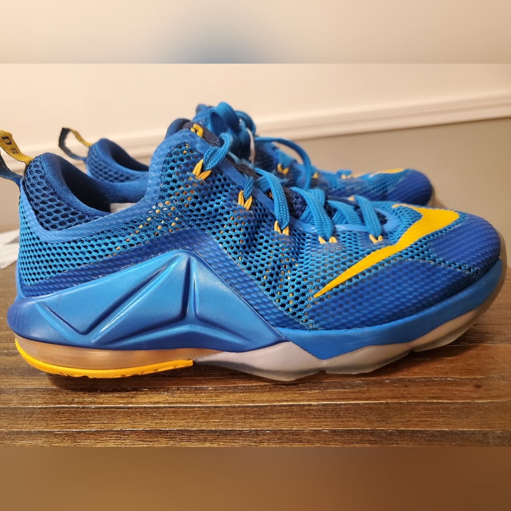 Kids Nike Lebron 12 Low 'Entourage' Sneakers - Size 6Y